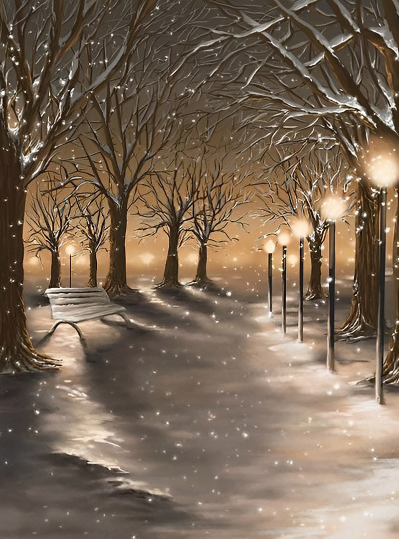 Sneeuwbedekt Parkpad met Lichtpalen Diamond Painting