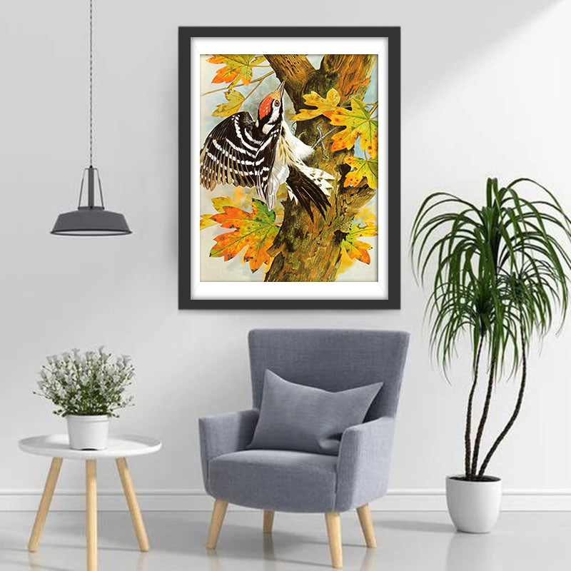 Specht in een Esdoorn Diamond Painting