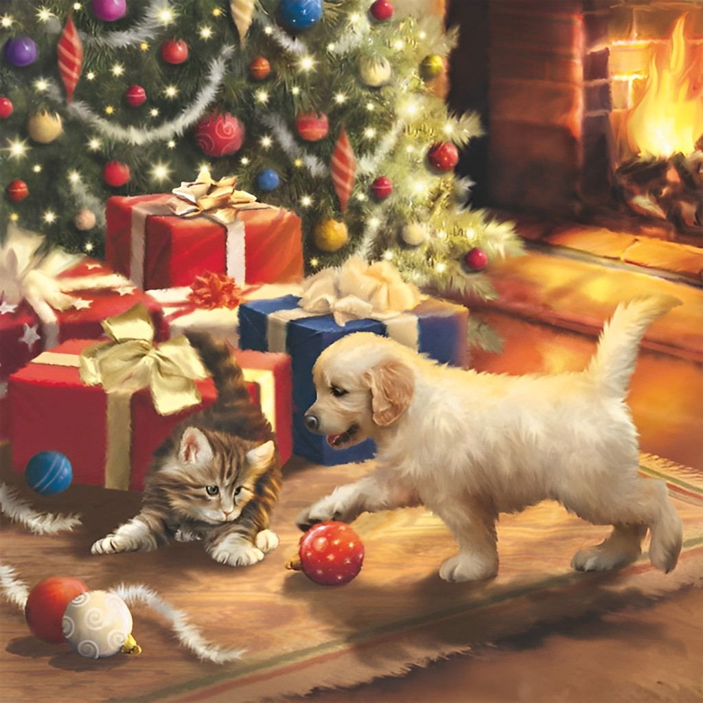 Speelse Puppy en Katje bij Cadeaus Diamond Painting