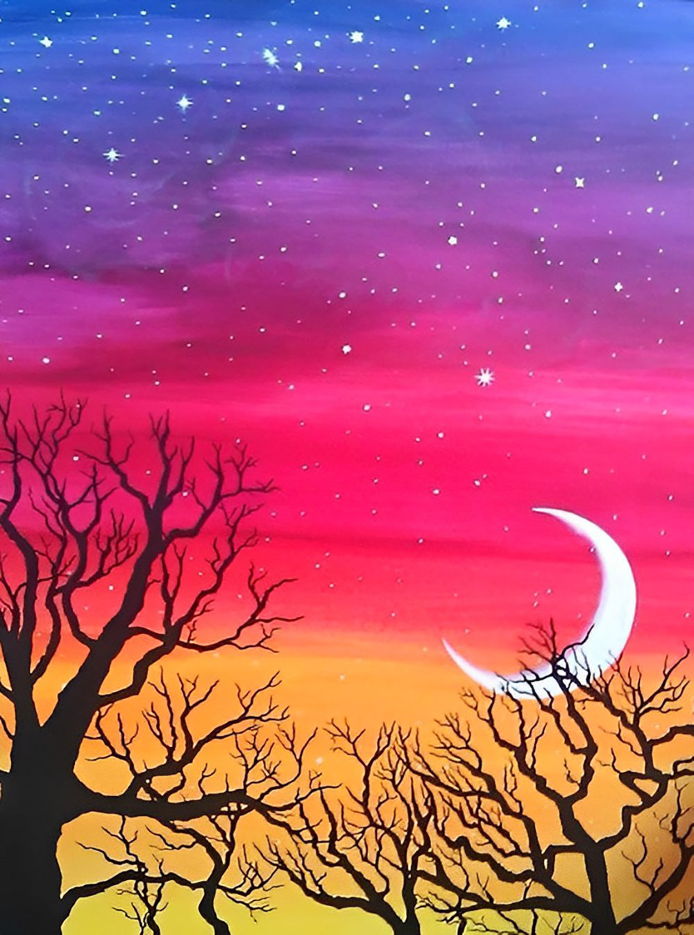 Sterrennacht met Maanlicht door Takkenvlek Diamond Painting