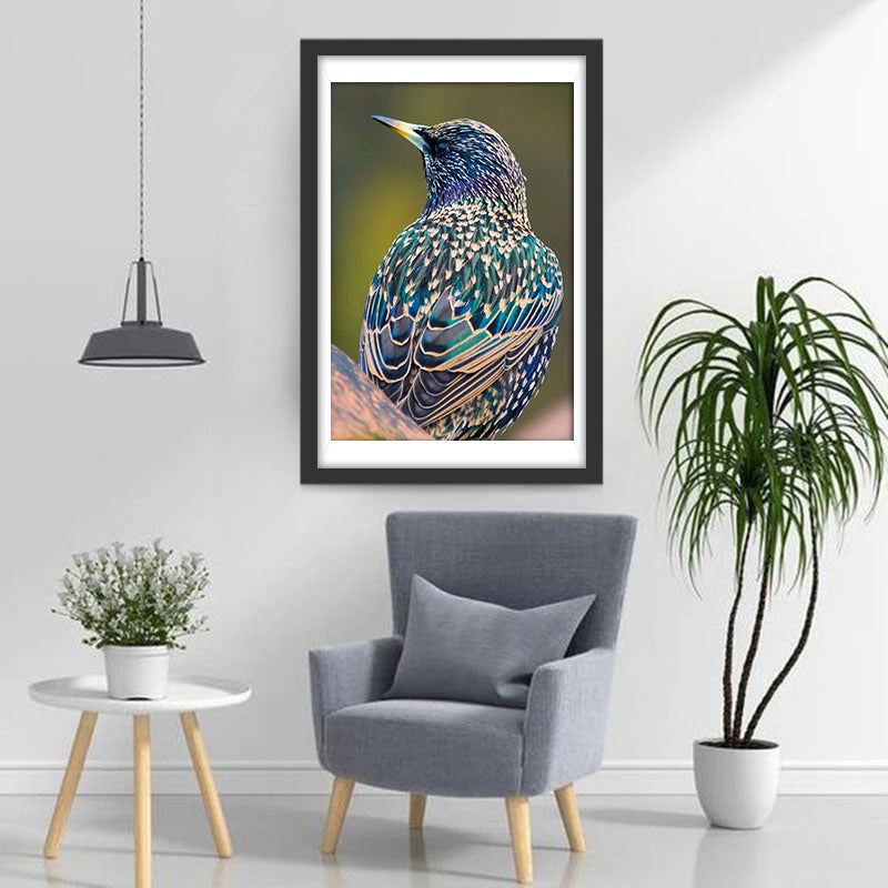 Sturnus Vulgaris Diamond Painting