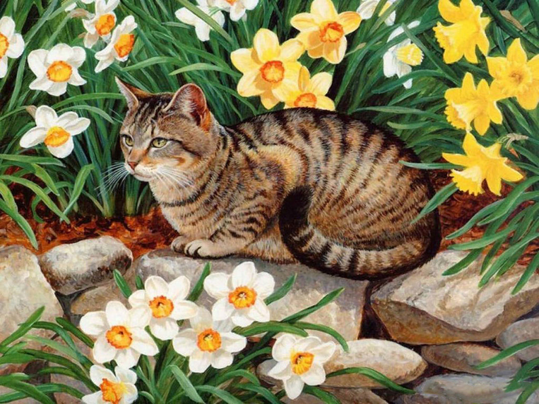 Tabby Kat Rustend tussen de Bloemen Diamond Painting