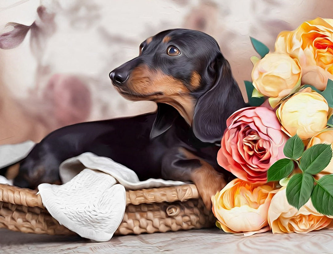 Teckels en Rozen Diamond Painting