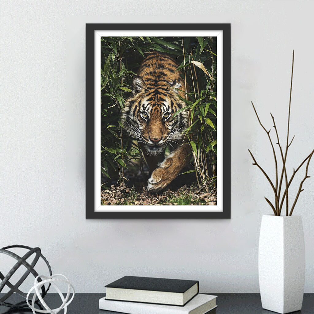 Tijger in de Bush Diamond Painting