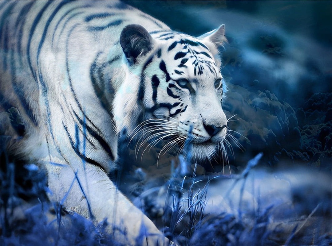 Tijger in het Blauwe Gras Diamond Painting