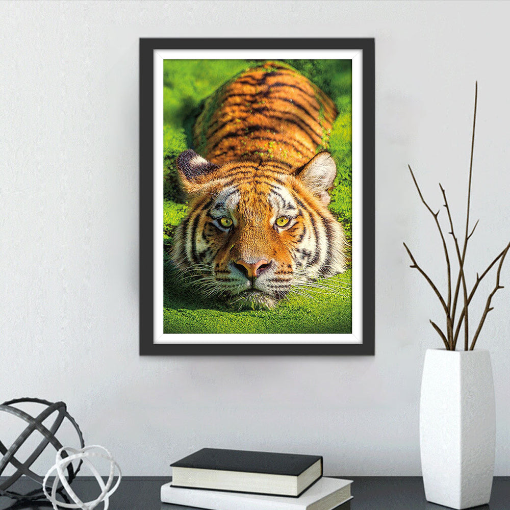 Tijger in het Gras Diamond Painting