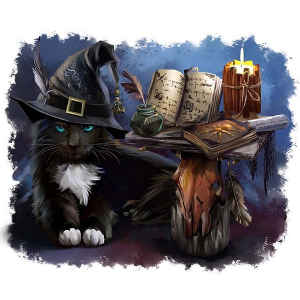 Tovenaar Zwarte Kat Diamond Painting
