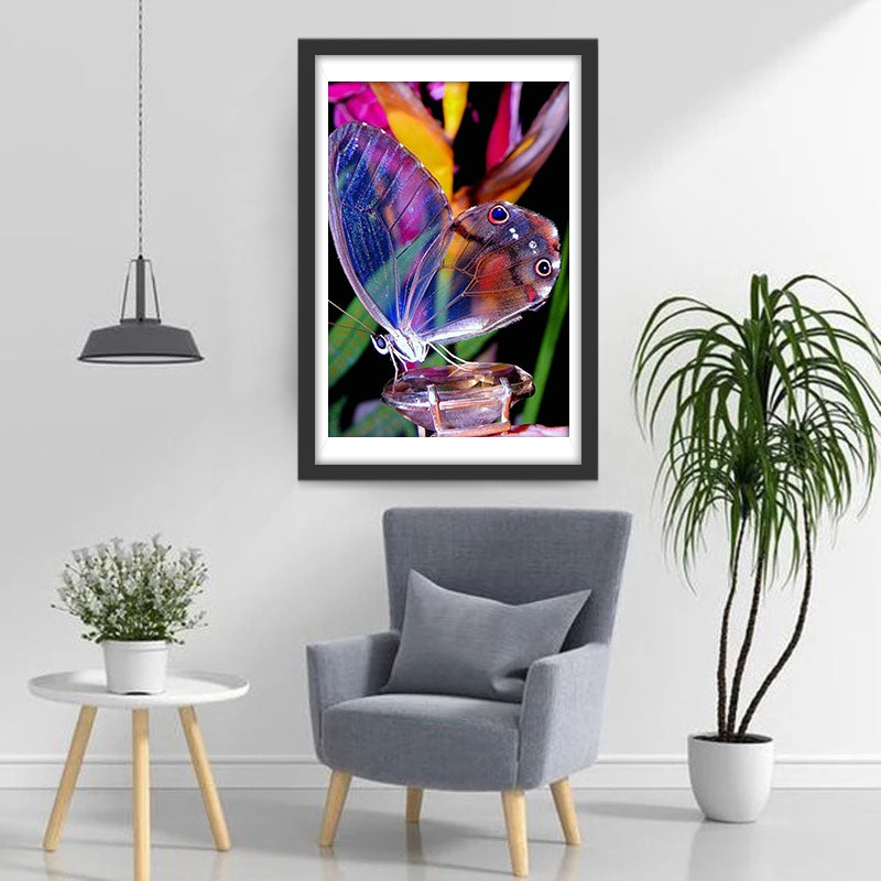 Transparante Vlinder Diamond Painting
