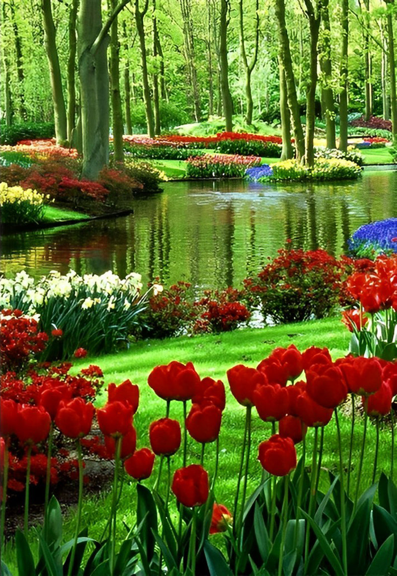 Tulpenlandschap bij Water Diamond Painting