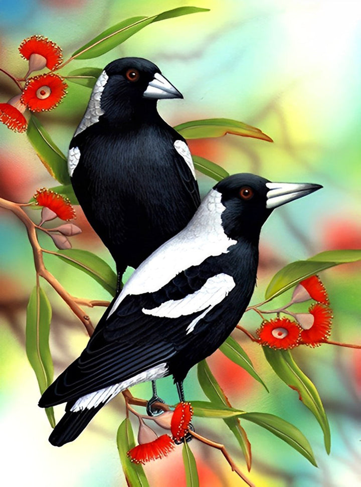 Twee Australische Eksters Diamond Painting