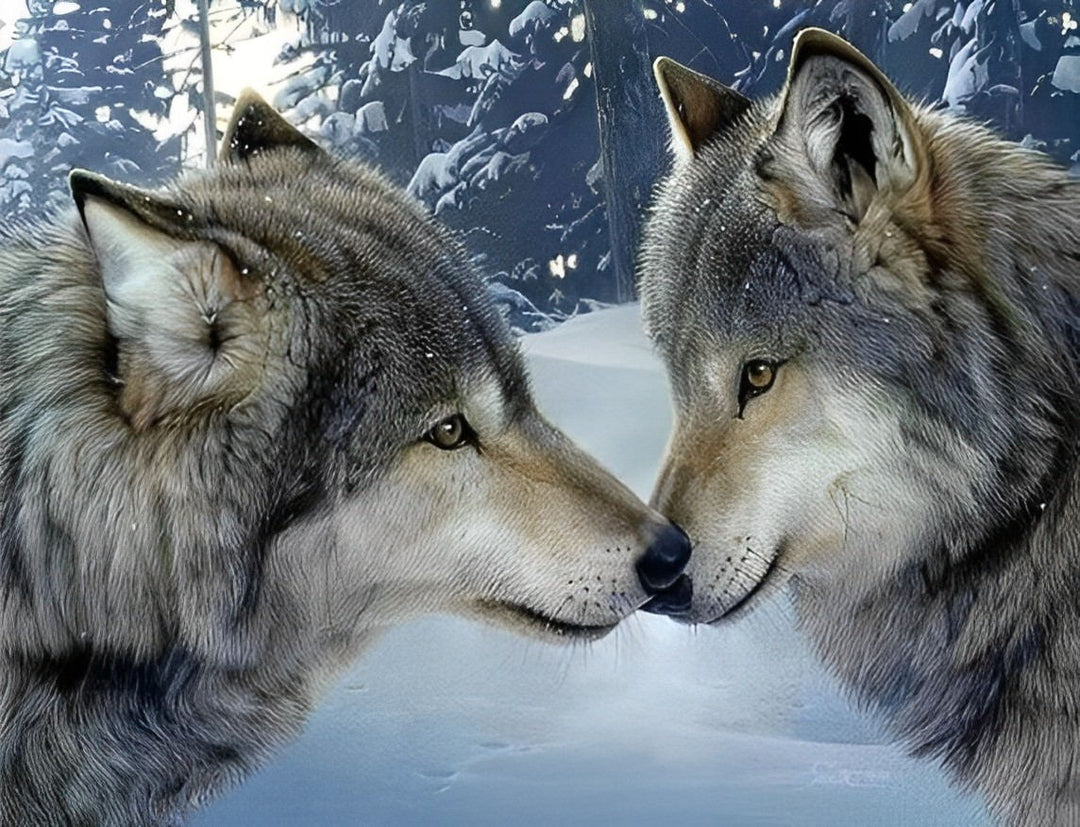 Twee Bekende Wolven Diamond Painting