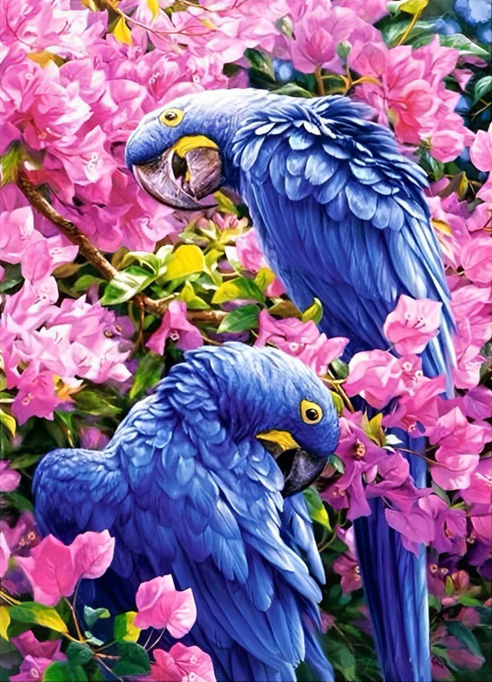 Twee Blauwe Papegaaien in de Roze Bloemen Diamond Painting
