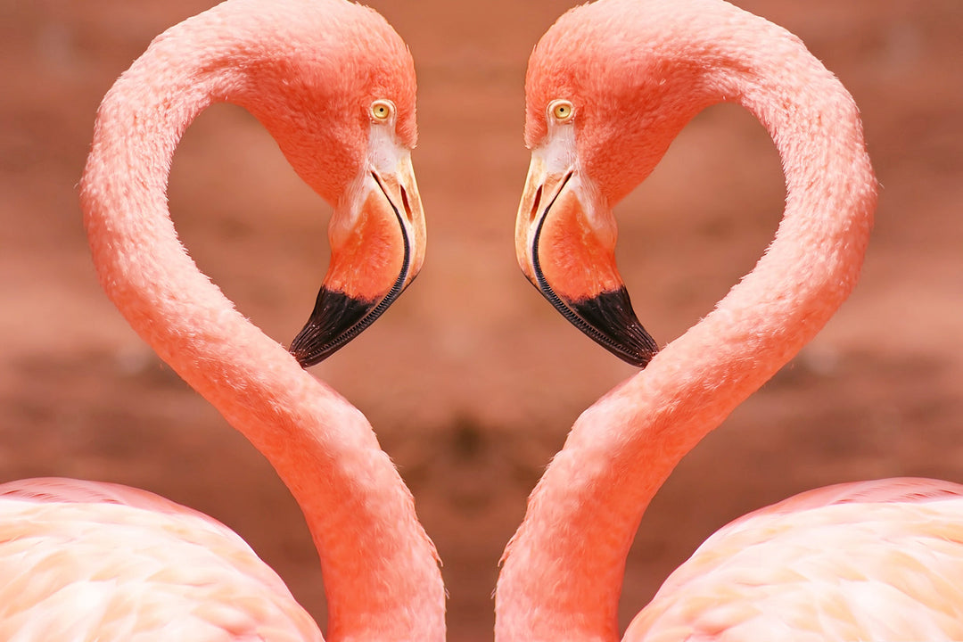 Twee Flamingo's Diamond Painting