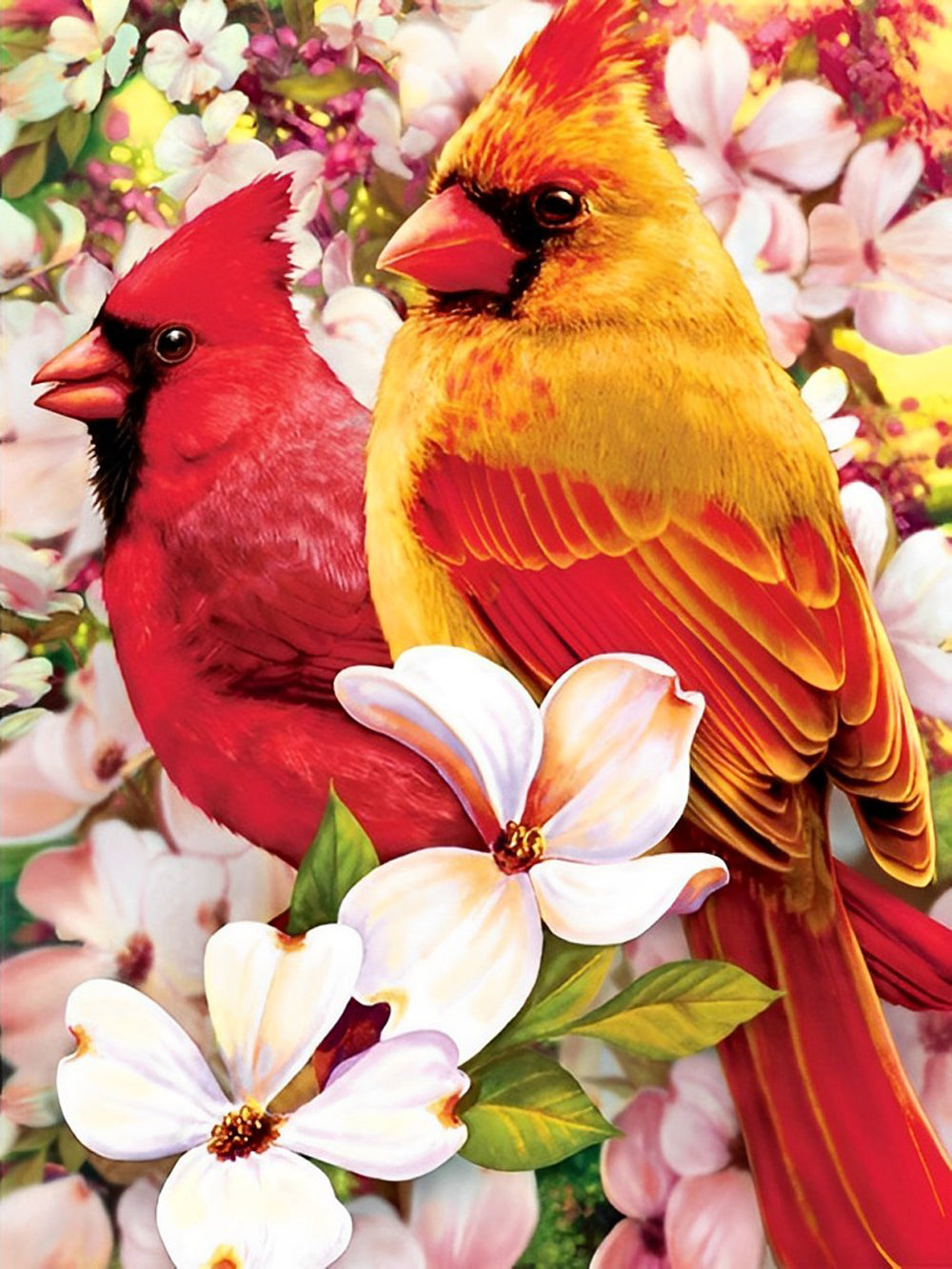 Twee Kardinalen in een Roze Bloemenstruik Diamond Painting