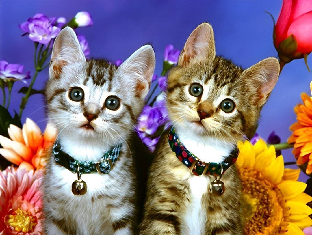Twee Katten in een Bloemenstruik op een Paarse Achtergrond Diamond Painting