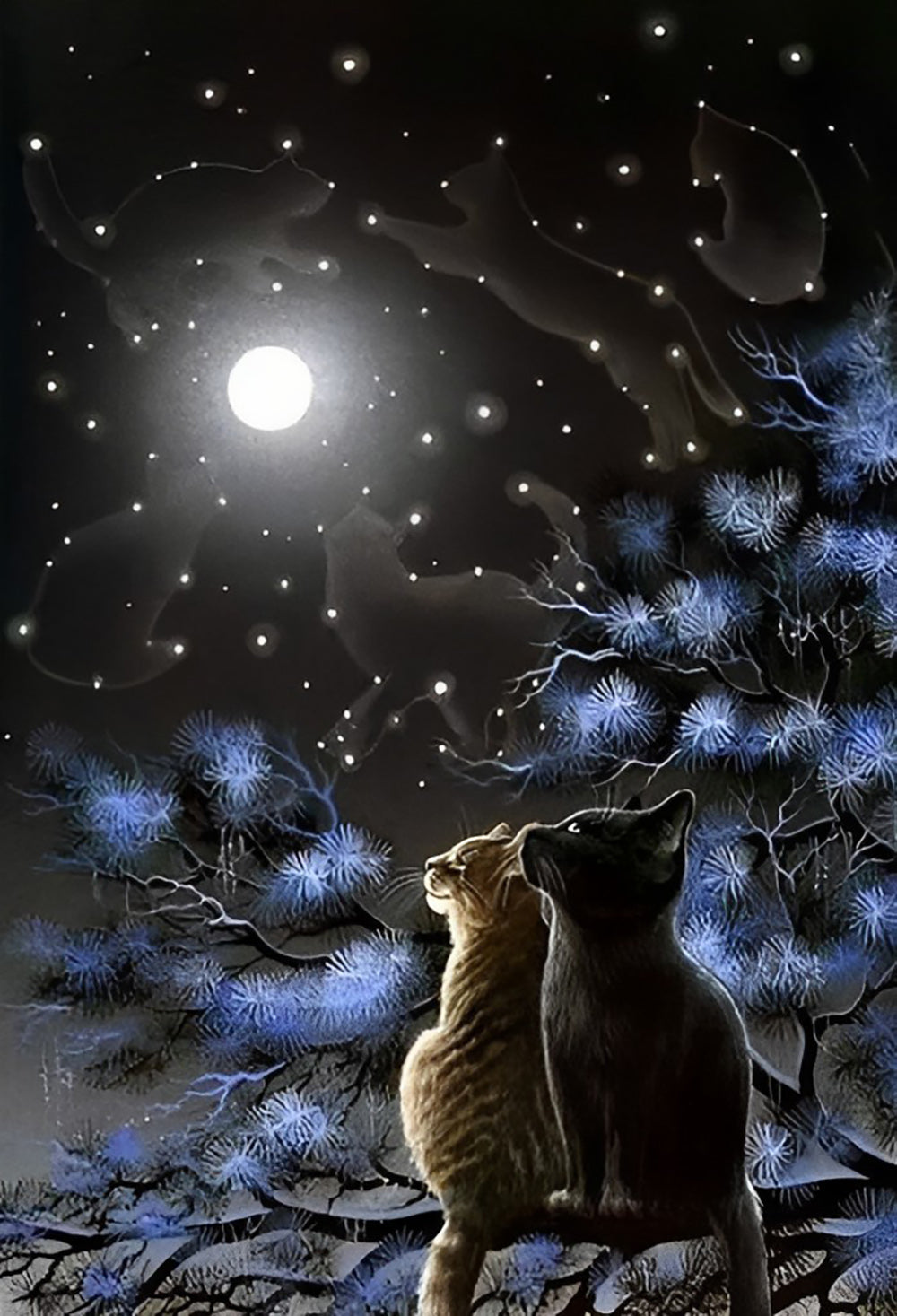 Twee Katten Kijken Samen naar de Maan op een Besneeuwde Dag Diamond Painting