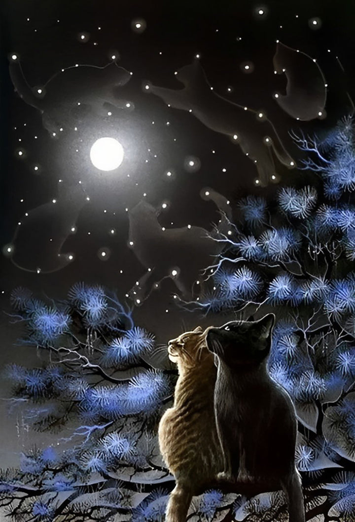 Twee Katten Kijken Samen naar de Maan op een Besneeuwde Dag Diamond Painting