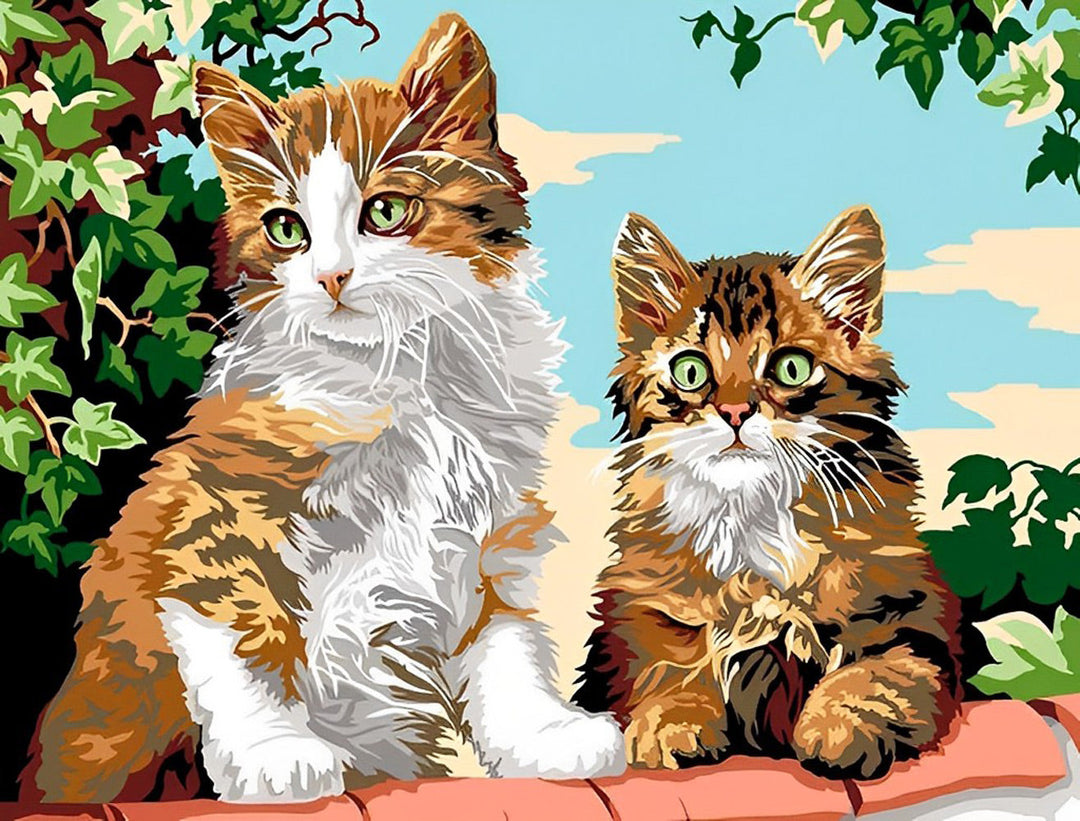 Twee Katten op de Muur Diamond Painting