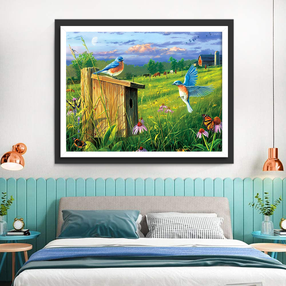 Twee Kolibries in de Weide Diamond Painting