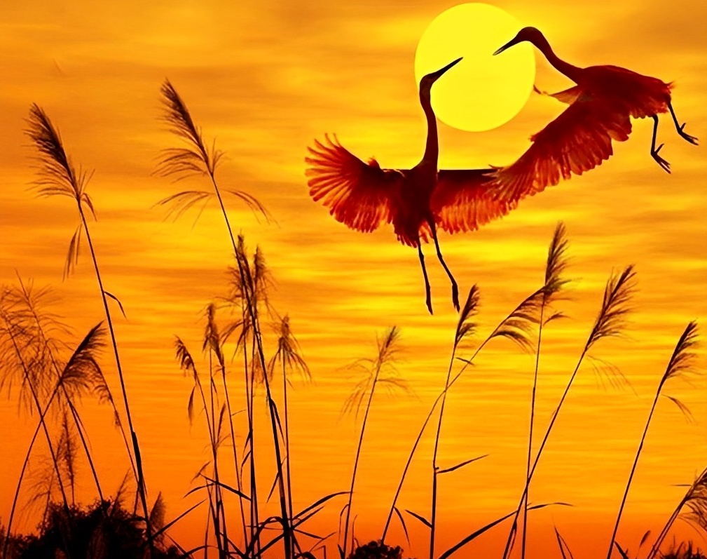Twee Kranen bij Zonsondergang Diamond Painting