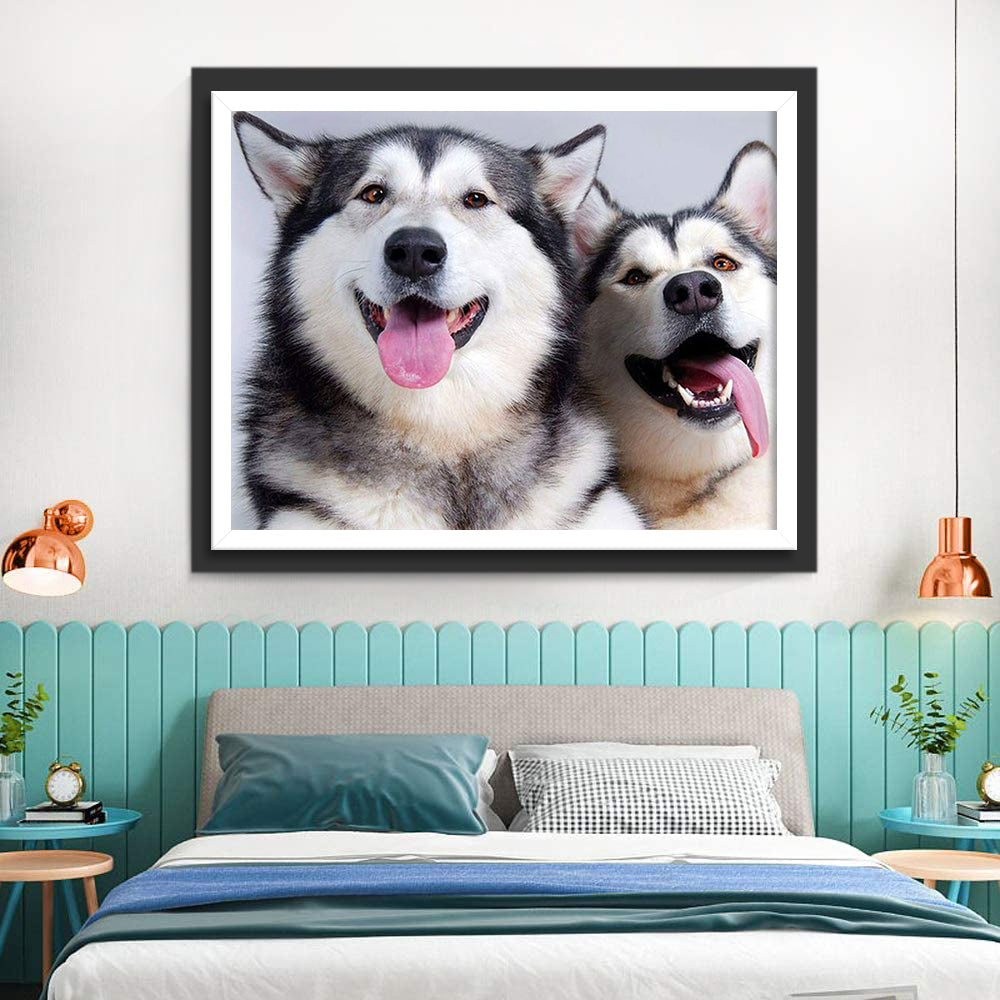 Twee Lachende Husky's Diamond Painting