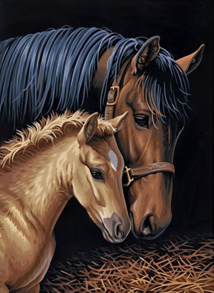 Twee Paarden Knuffelen Samen Diamond Painting