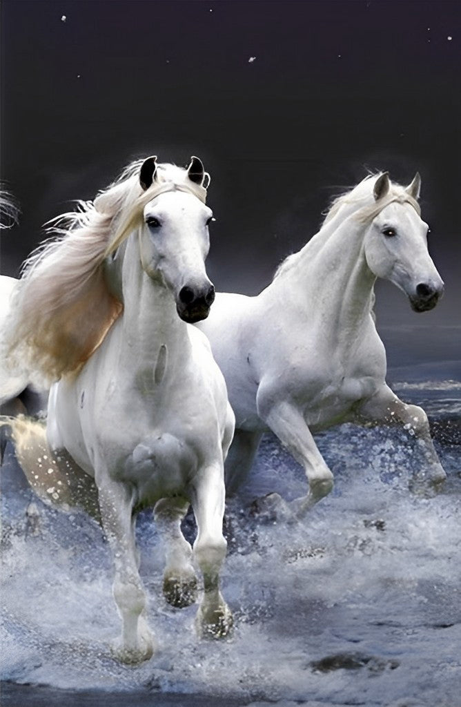 Twee Paarden Rennen in de Zee Diamond Painting