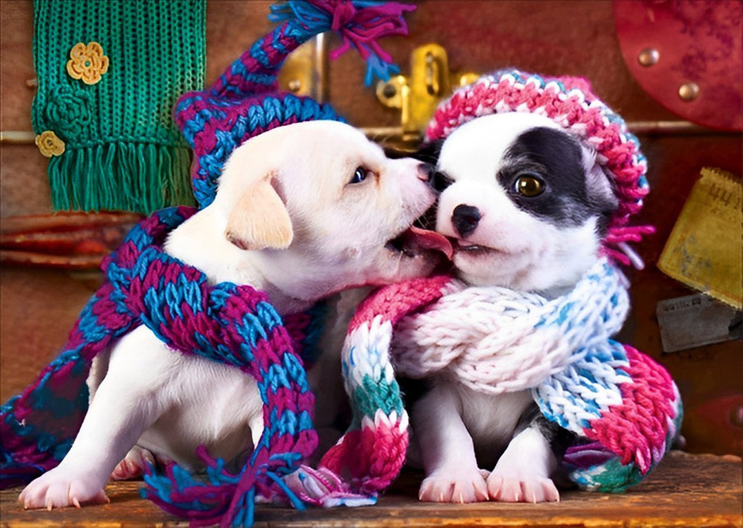 Twee Puppies met Sjaaltjes Diamond Painting