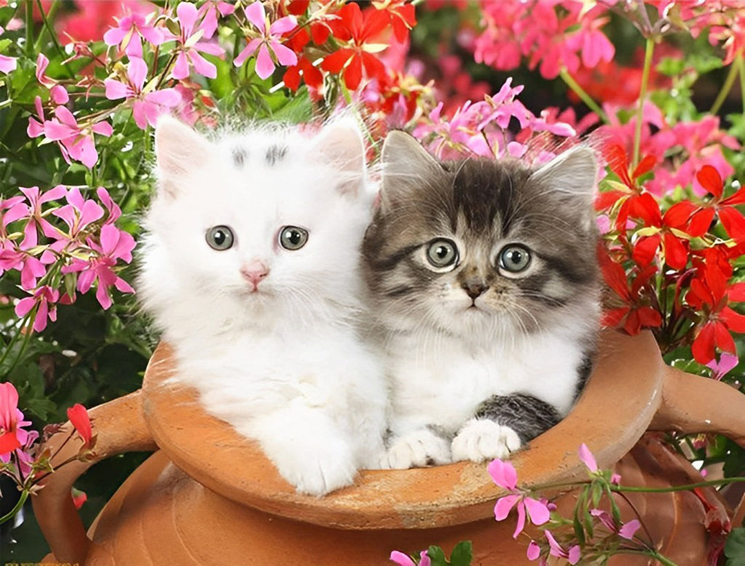 Twee Schattige Katjes in de Bloemenstruik Diamond Painting