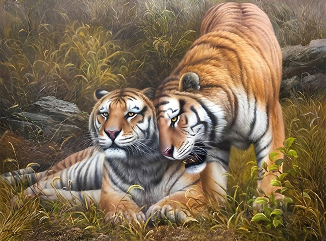 Twee Tijgers in de Weide Diamond Painting