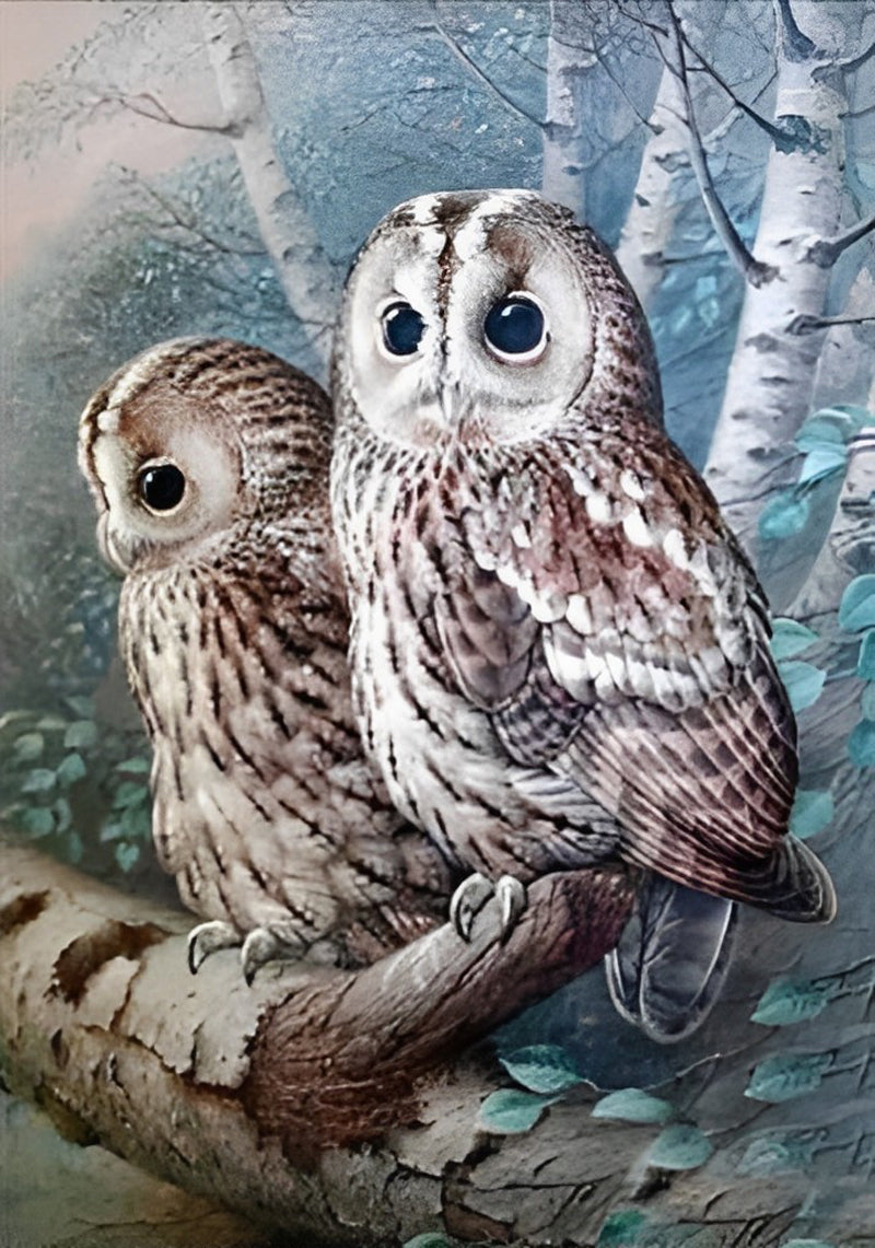 Twee Uilen in een Boom Diamond Painting
