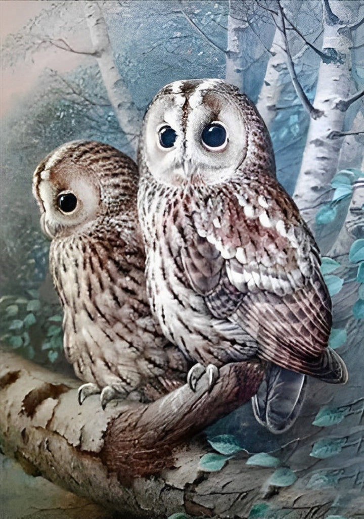 Twee Uilen in een Boom Diamond Painting