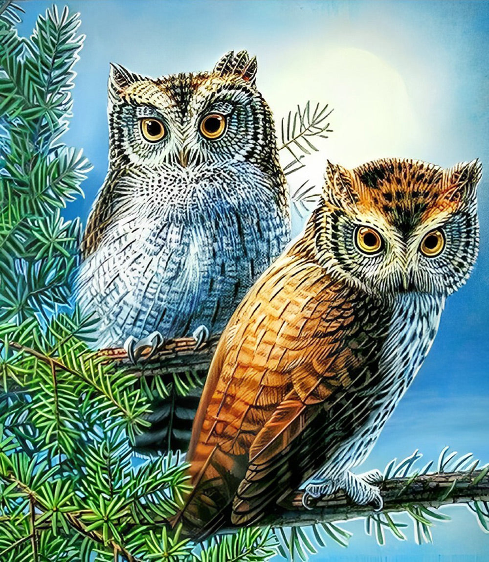 Twee Uilen in een Kerstboom Diamond Painting