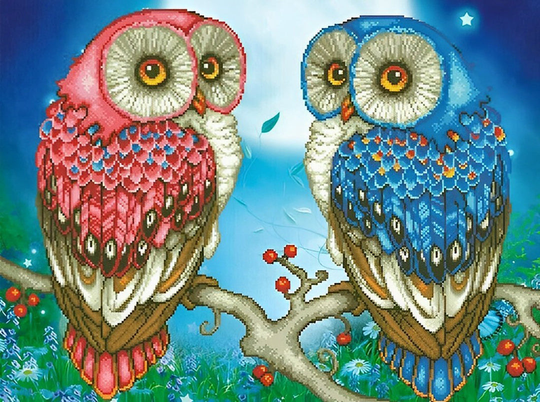Twee Uilen op de Fruitboom Diamond Painting