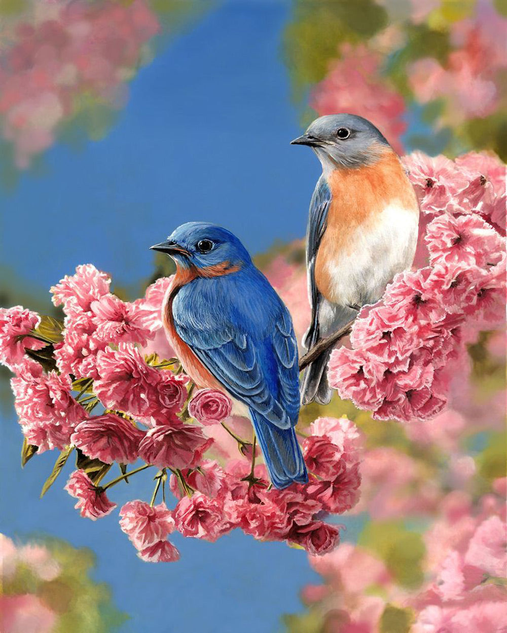 Twee Vogels op een Bloeiende Tak Diamond Painting