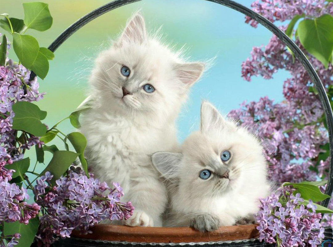 Twee Witte Katten in een Paarse Bloemenstruik Diamond Painting