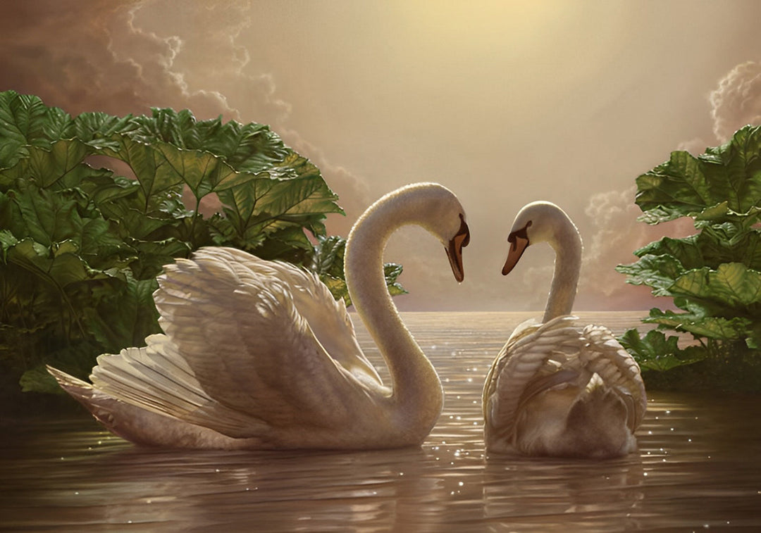 Twee Witte Zwanen in het Meer Diamond Painting