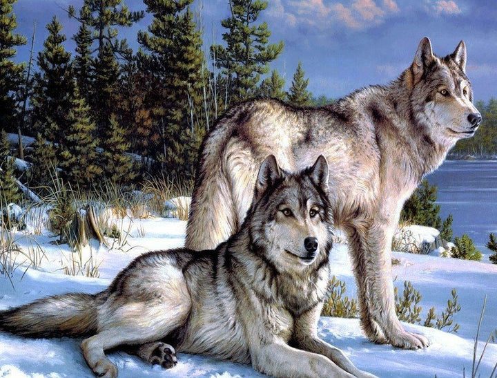 Twee Wolven in de Sneeuw Diamond Painting