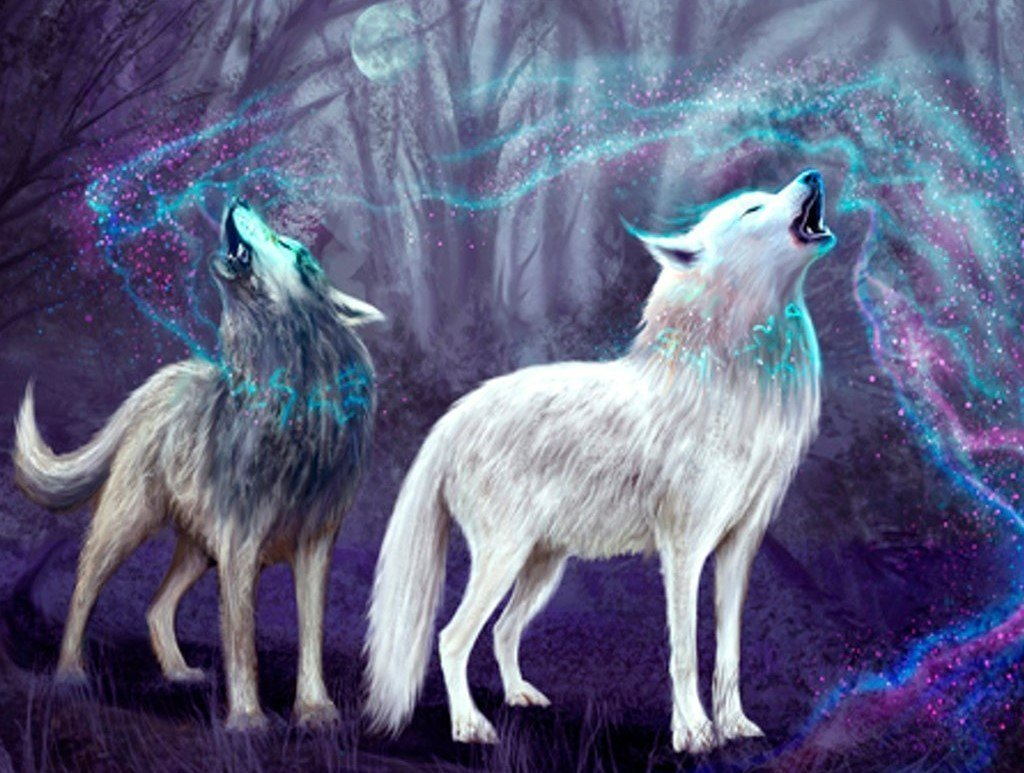 Twee Wolven in een Sprookjesbos Diamond Painting