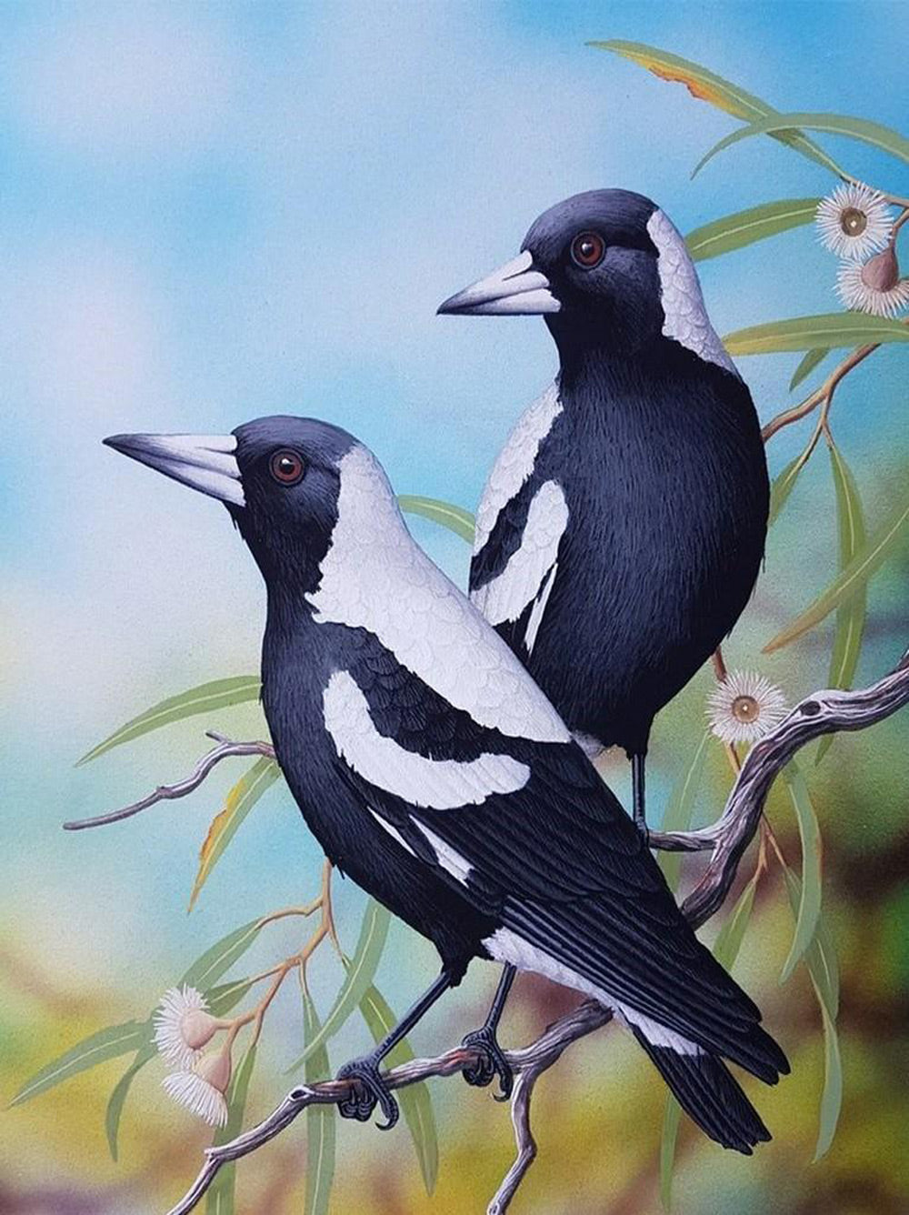 Twee Zwart-Witte Vogels op een Tak Diamond Painting