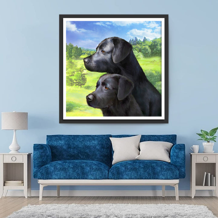 Twee Zwarte Honden Diamond Painting