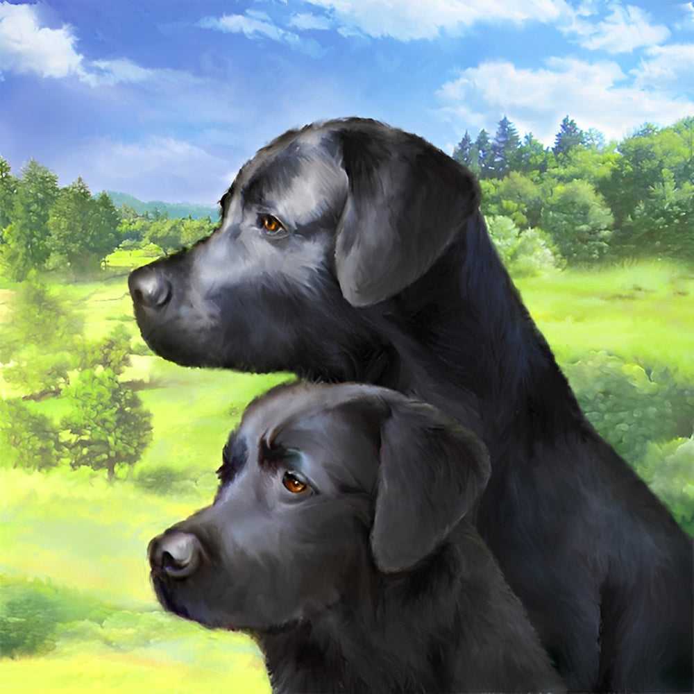 Twee Zwarte Honden Diamond Painting