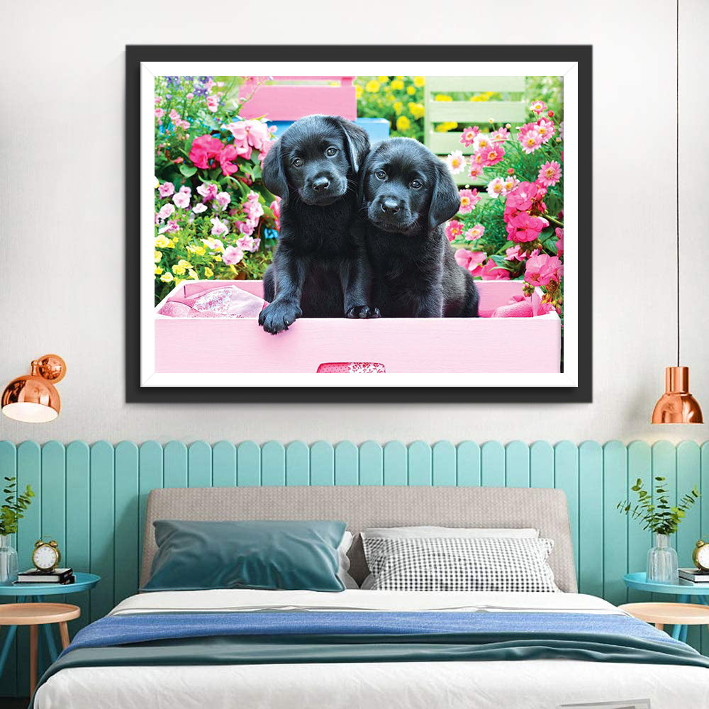 Twee Zwarte Honden in een Roze Doos Diamond Painting