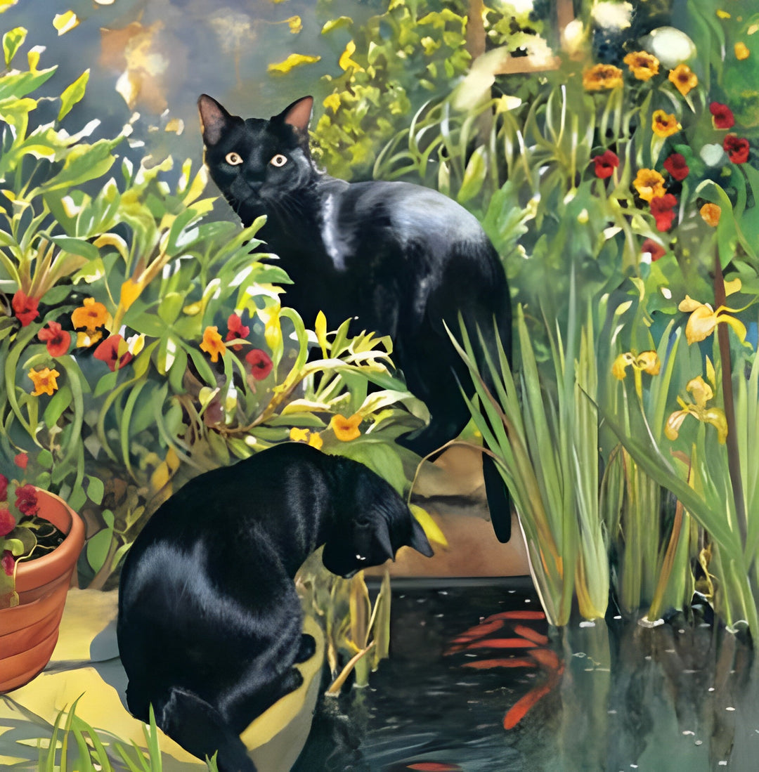Twee Zwarte Katten in het Gras Diamond Painting