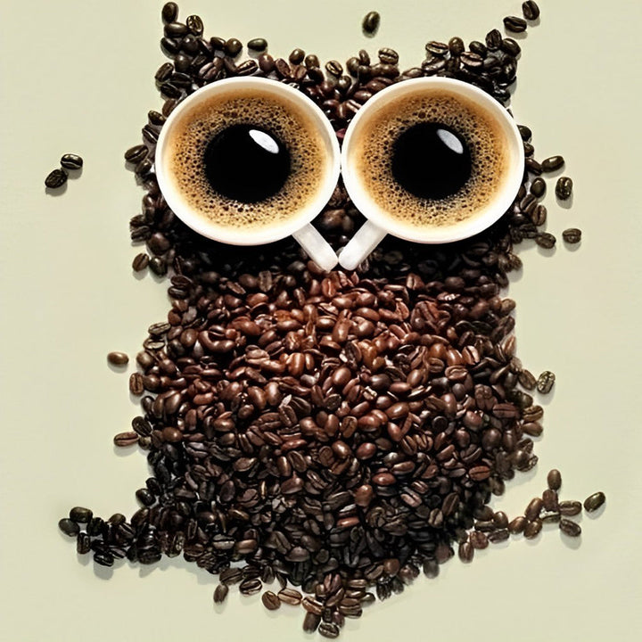 Uil gemaakt van Koffiebonen en Koffie Diamond Painting