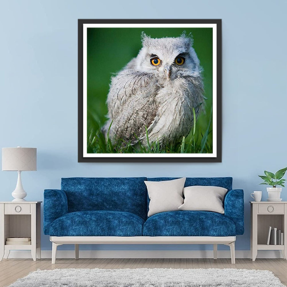 Uil in de Weide Diamond Painting