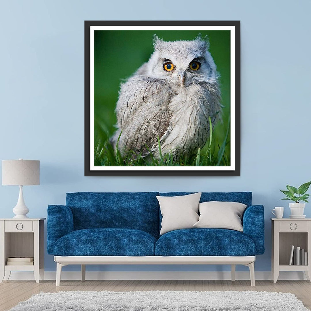Uil in de Weide Diamond Painting