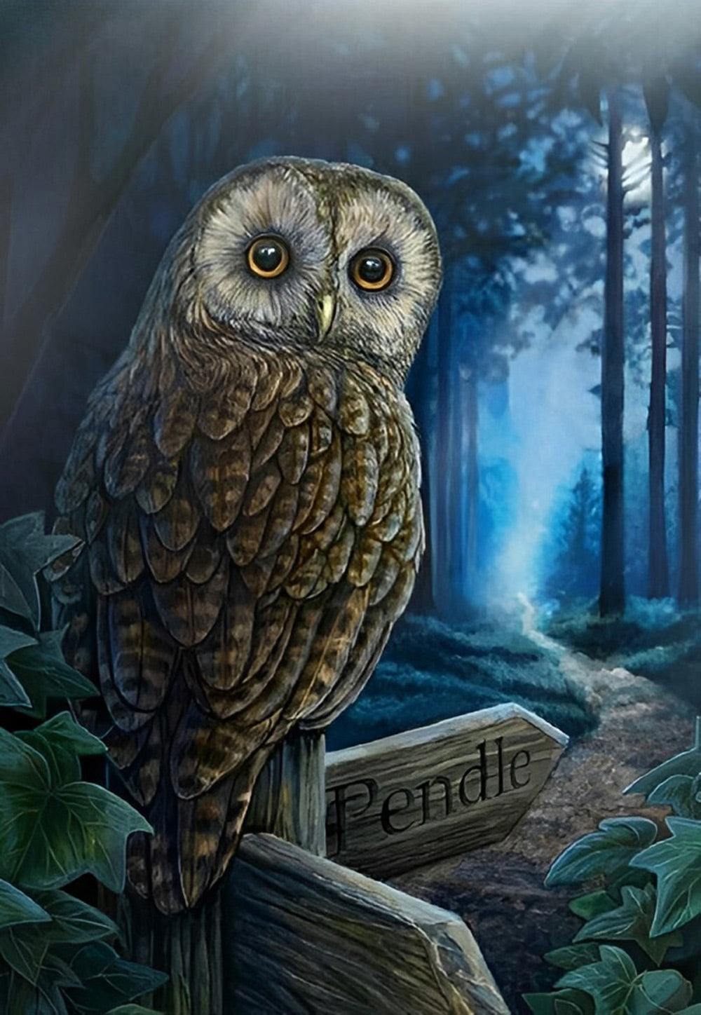 Uil in het Bos onder de Maan Diamond Painting