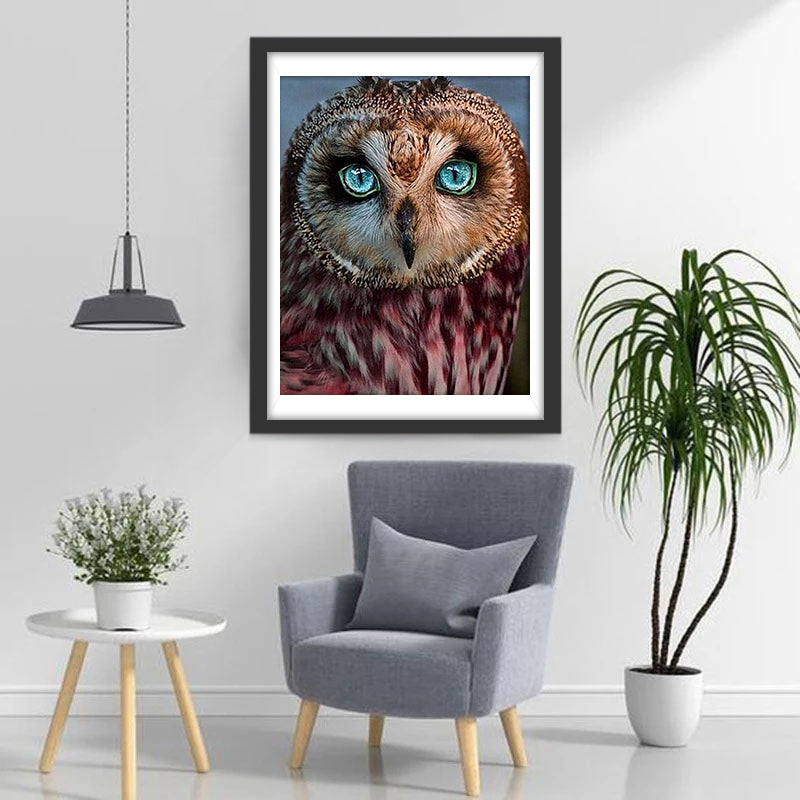 Uil met Blauwe Ogen Diamond Painting