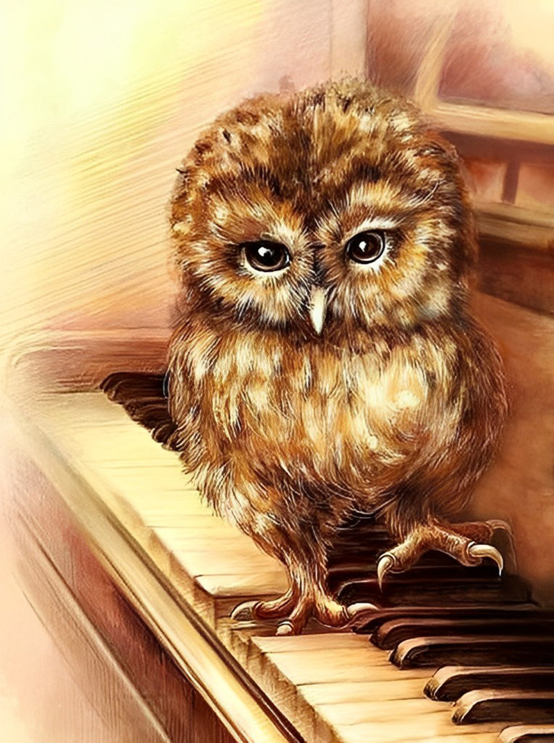 Uil op de Piano Diamond Painting